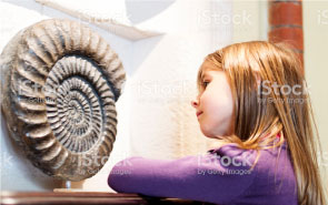 Girl looking at art piece