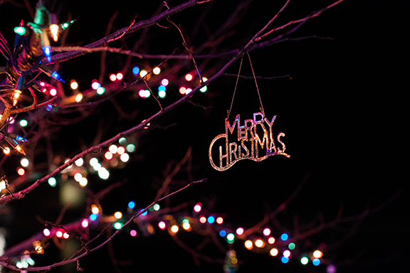 Nighttime image of lighted tree with 'Merry Christmas' ornament hanging from a branch